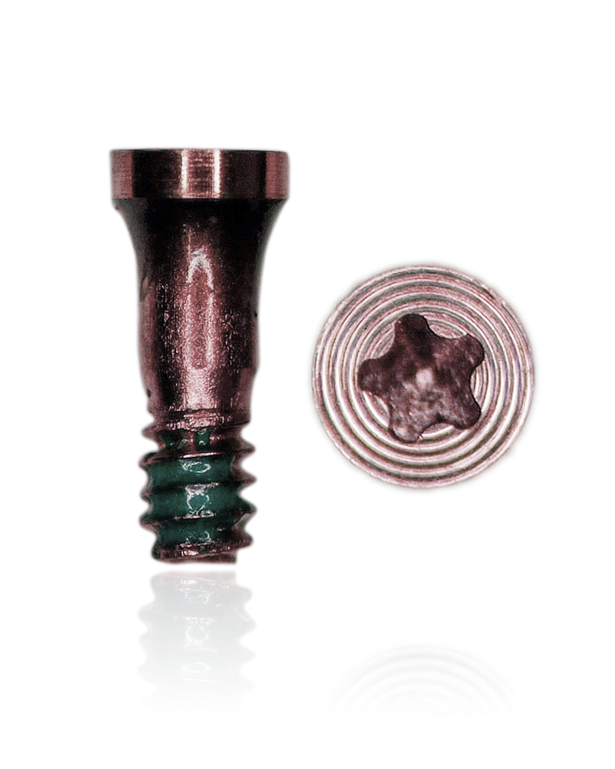 Pentalobe Screws For iPhone 7 / 7 Plus (10 Pack) (Rose Gold)