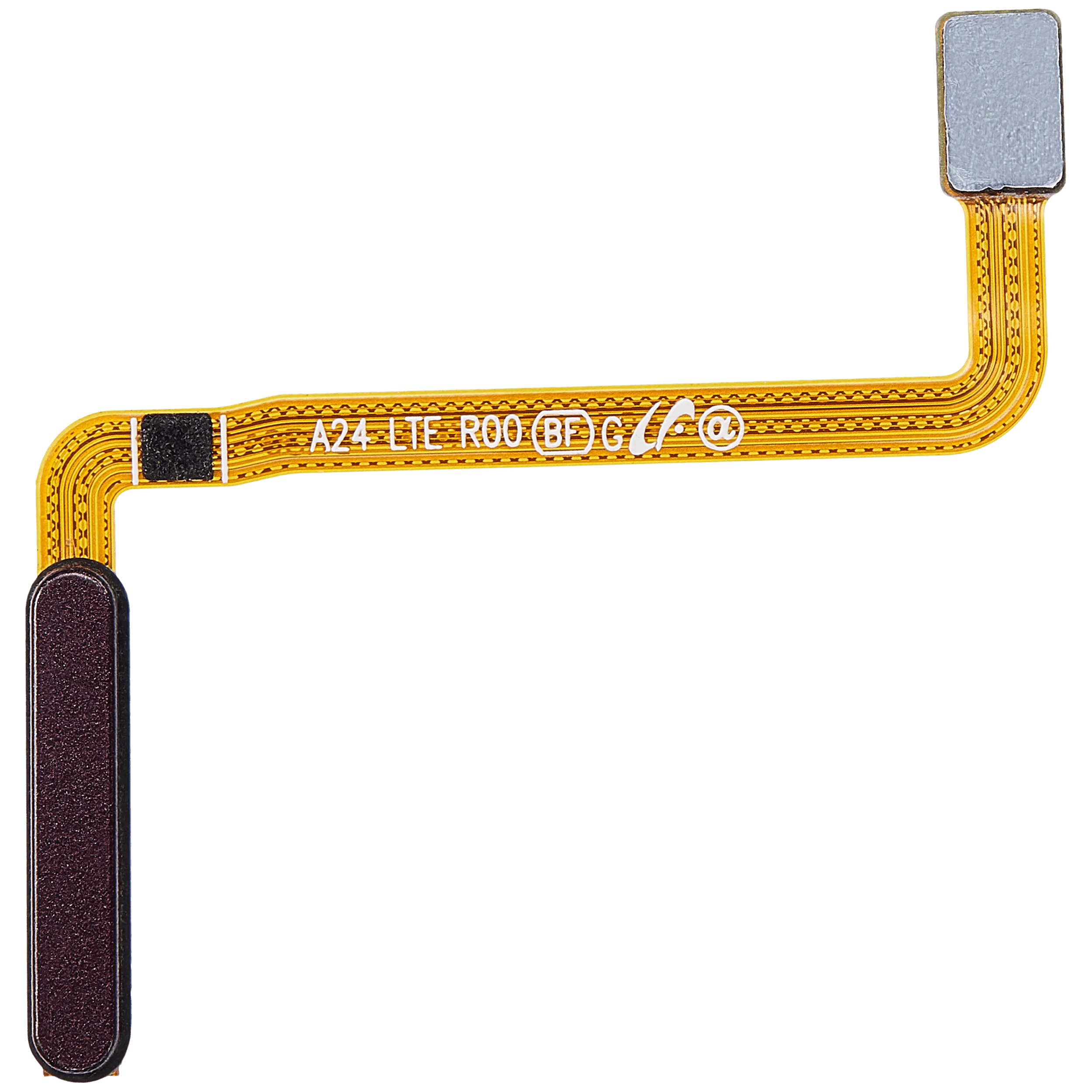 Fingerprint Flex Cable For Samsung Galaxy A24 4G (A245 / 2023) (Dark Red)