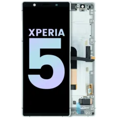 OLED Assembly With Frame for Sony Xperia 5 (Genuine) (Gray)