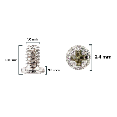 Screw Set (M1.0 x 1.18L x 2.4D x 0.3T) for iPhone 12 mini (30 Pack) (Service Pack)