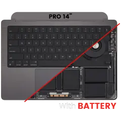 Pro 14