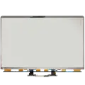 LCD Panel Only Compatible For MacBook Pro 16" (A2141) (Compatible With All Years)