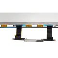 LCD Panel Only Compatible For MacBook Pro 16" (A2141) (Compatible With All Years)