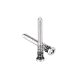 Security Screw For iPhone 12 Pro / 12 Pro Max (100 Pack) (Silver) (Service Pack)     